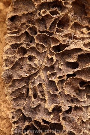 Inside of broken cathedral termite mound, Kakadu National Park, Northern Territory, Australia — David Wall Ant Hill, Northern Territory Australia, Kakadu National Park, Ant Colony, Driftwood Art Diy, Ant Farms, Termite Control, Northern Territory, Matte Painting