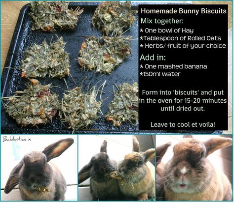 Bake your rabbit treats Homemade Rabbit Treats, Diy Bunny Toys, Pet Rabbit Care, Kat Diy, Rabbit Farm, Rabbit Treats, Bunny Hutch, Raising Rabbits, Pet Bunny Rabbits