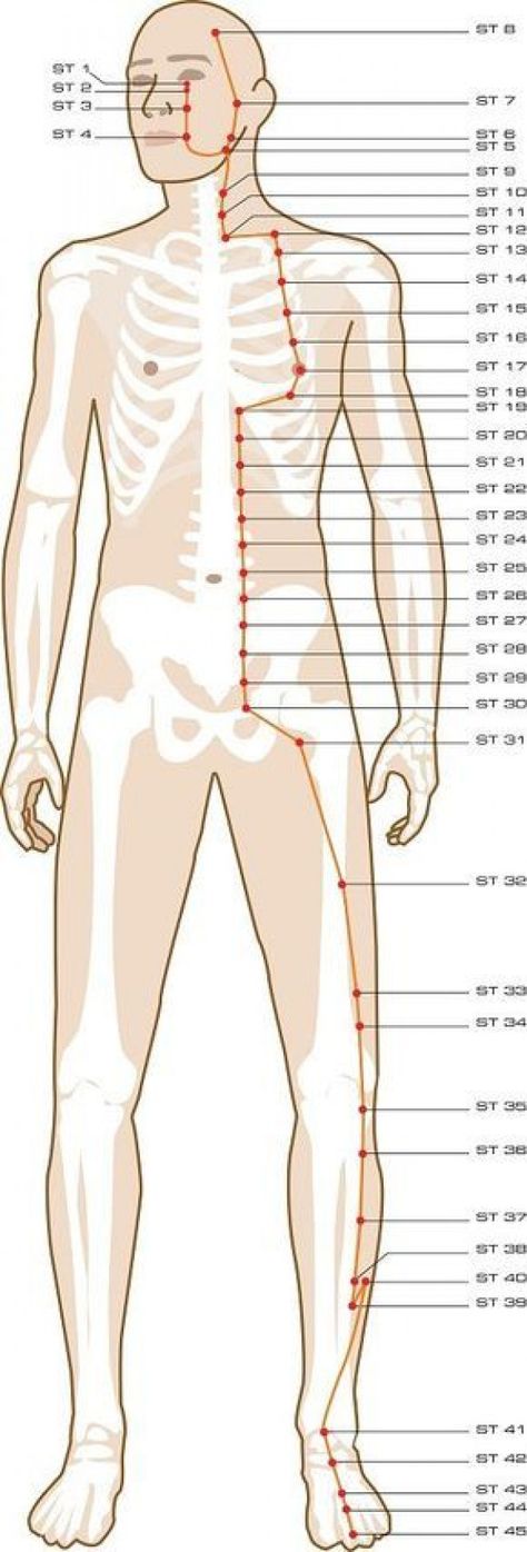 Meridian Acupuncture, Traditional Chinese Medicine Acupuncture, Meridian Points, Acupuncture Benefits, Point Acupuncture, Shiatsu Massage, Acupuncture Points, Acupressure Points, Massage Techniques