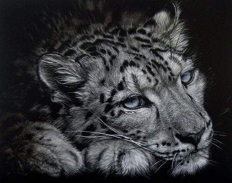 Lesley Barrett Scratchboard - Lesley Barrett Scratchboard Art Lion Sketch, Animal Tattoo Ideas, Scratchboard Art, Realistic Sketch, Pencil Drawings Of Animals, Leopard Art, Black Paper Drawing, Pencil Sketch Images, Charcoal Sketch