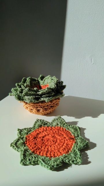 Crochet Succulent Coasters In Pot, Crochet Coaster Sets Free Pattern, Succulent Plant Pot Coaster Set Crochet Pattern, Plant Coaster Crochet Pattern, Succulent Coaster Crochet Pattern Free, Succulent Coasters Crochet Free Pattern, Succulent Coaster Crochet Pattern, Crochet Coaster Plant, Crochet Succulent Coasters Free Pattern