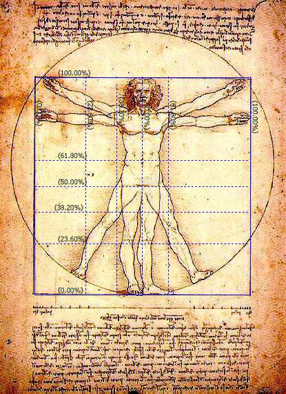 Fibonacci Number, Golden Mean, The Golden Mean, Architectural Orders, Light Grid, The Nautilus, Fibonacci Sequence, Vitruvian Man, Sacred Architecture