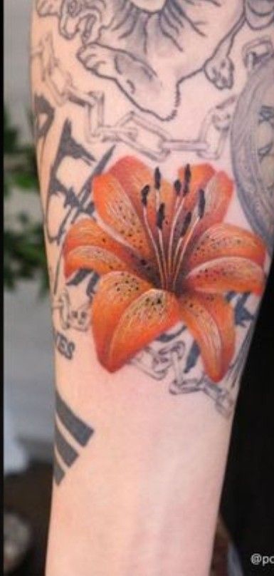 Orange Lily Tattoo, Flor Tattoo, Lily Tattoo, Tattoo Ideas, Lily, Bts, Tattoos, Orange