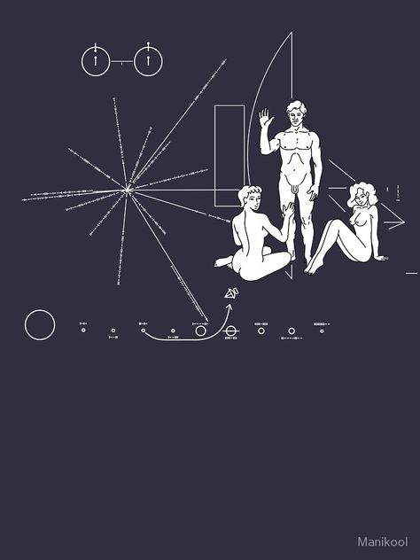 Pioneer Plaque, Nasa Art, Space Space, Space Projects, Art House, Funny Messages, Blade Runner, Art Drawings Simple, Hanging Art