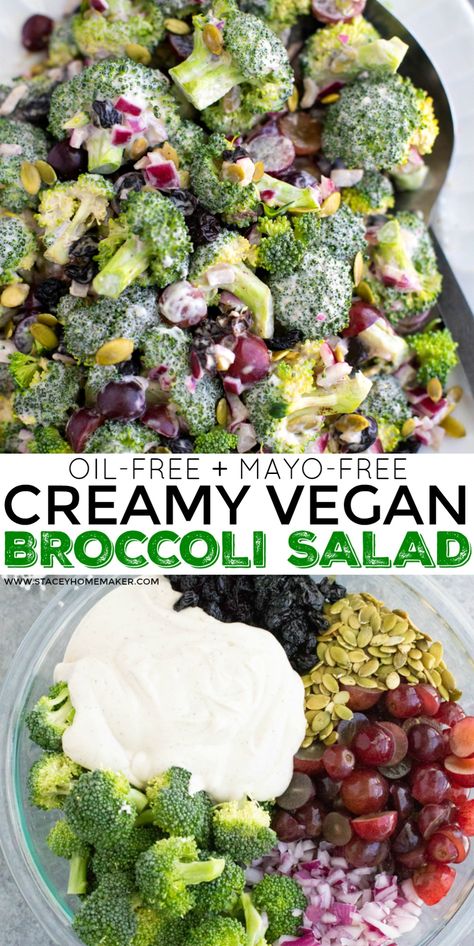 Vegan broccoli salad is super creamy, crunchy, and delicious! It's loaded with crisp broccoli florets, sweet grapes, red onions, crunchy pumpkin seeds, and tangy dried cherries that are tossed in cashew cream sauce. Complete your summer cookouts or party with this easy to make gluten-free and vegan side dish! #VeganBroccoliSalad Healthy Brocolli Salad, Seed Oil Free Recipes, Broccoli Salad Vegan, Wfpb Salad, Raw Broccoli Salad, Vegan Broccoli Salad, Salad Supreme, Broccoli Slaw Salad, Crunchy Broccoli