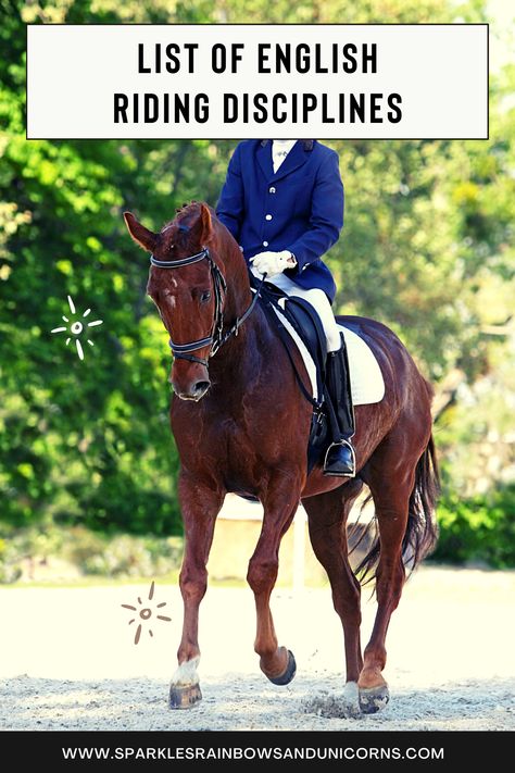 Horse Riding Tips English, Horse Riding English, Horseback Riding English, How To Ride A Horse Western, English Horseback Riding, Horse Riding Exercises Western, Horseback Riding Lessons, Horseback Riding Tips, Cross Country Jumps