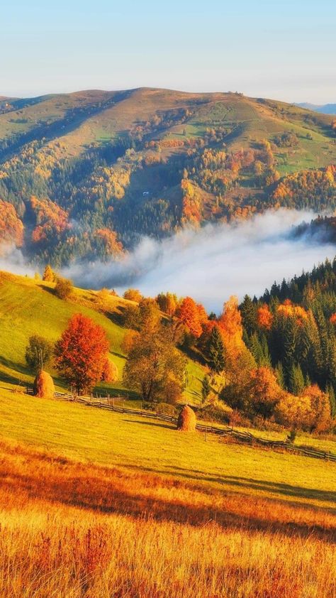 Dream Property, Autumn Scenes, Autumn Scenery, Beautiful Places Nature, Fall Pictures, Beautiful Nature Wallpaper, Autumn Landscape, Beautiful Scenery Nature, Fall Wallpaper