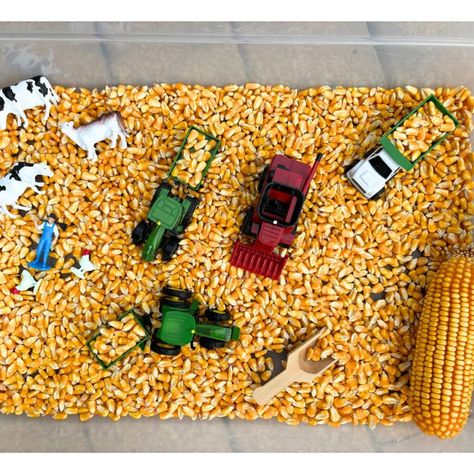 Looking for a fun Fall Sensory Play Idea? This Fall Harvest Corn Sensory bin is full of fun! Kids will enjoy scooping the corn, loading the tractor's wagon, and plenty of fun on the farm imaginative play. Check out this corn sensory play today! Harvest Activities For Kids, Preschool Harvest Activities, Fall Harvest Activities, Corn Sensory Bin, Harvest Preschool, Fall Crafts For Preschoolers, Preschool Harvest, Fall Playdough, Harvest Activities