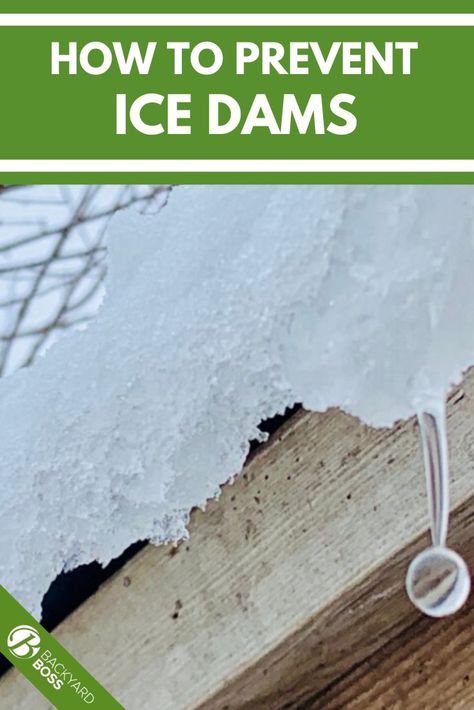 An ice dam can cost thousands of dollars in home repairs, so it's worth it to know how to keep snowmelt from leaking into your shingles and refreezing. We've covered everything from attic insulation to manually removing an existing ice dam, and included a few easy preventive measures along the way. So grab your tube socks and ice melt and check out our guide! Ice Dam Removal, Ridge Vent, Roof Work, Ice Dams, Ice Remover, Roof Damage, Attic Insulation, Ice Melting, Plants To Grow