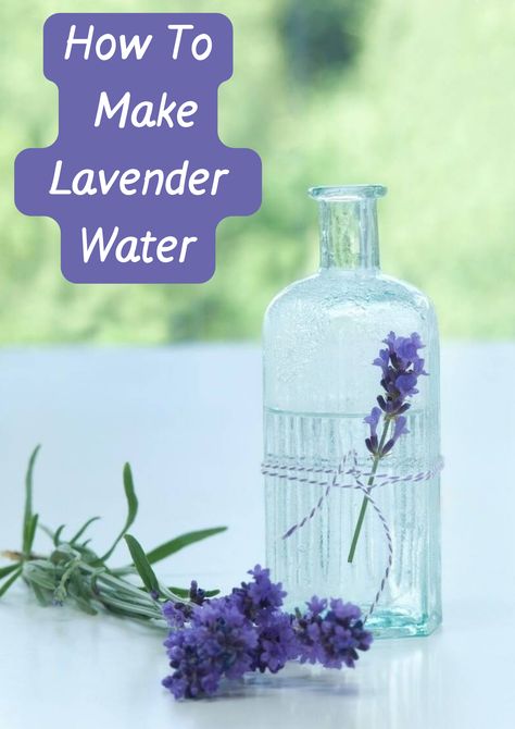 Dried Lavender Uses, Lavendar Water, Witchy Herbs, Herb Medicine, Lavender Drink, Lavender Room Spray, Lavender Hydrosol, Diy Hair Spray, Medicine Recipes