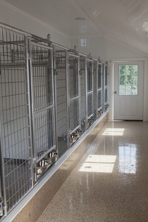 Commercial Dog Kennel Ideas, Kennel Ideas Indoor, Dog Kennel Ideas Indoor, Dog Breeders Kennels, Dog Kennel Ideas, Dog Boarding Ideas, Building A Dog Kennel, Custom Dog Kennel, Dog Boarding Facility