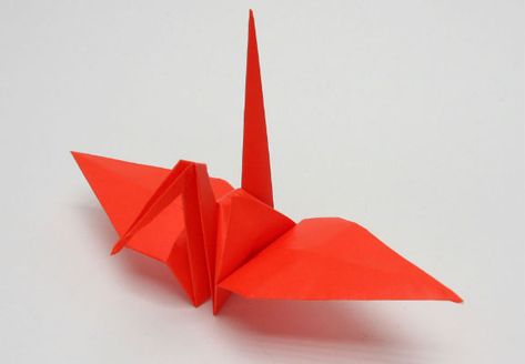 Origami | Traditional Kyoto Origami Traditional, Origami Yoda Instructions, Origami Fish Easy, Origami Guide, How To Do Origami, Japanese Culture Art, Origami Christmas Tree, Origami Swan, Origami And Quilling