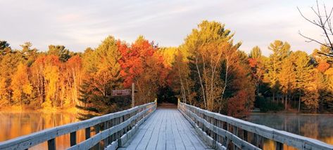 Northwoods Cool - Madison Magazine. Hiking, microbrews and an old-school supper club make for a perfect fall day in Minocqua. Wisconsin Vacation, Travel Wisconsin, Fall Vacations, American Beer, Midwest Travel, Wisconsin Travel, Night Fishing, States In America, Best Beer