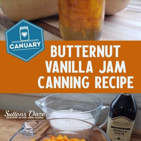 Butternut Squash Jam, Butternut Jam, Canning Butternut Squash, Squash Jam, Canning Recipes For Beginners, Preserving Meat, Vanilla Jam, Preserving Fruit, Homestead Skills