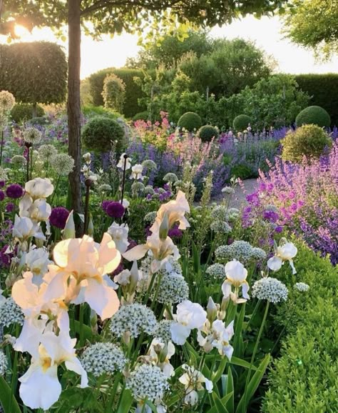 New England Patio Ideas, Home Flower Garden, Terry Winters, Cottage Garden Borders, English Cottage Garden, Garden Inspo, Wildflower Garden, Garden Tours, Gorgeous Gardens