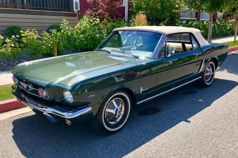 For Sale: 1965 Ford Mustang Convertible (Ivy Green, 289ci V8, 3-speed auto) Green Convertible, Fort Mustang, 1965 Ford Mustang Convertible, 65 Mustang Convertible, 1967 Mustang Convertible, Green Mustang, 1965 Mustang Convertible, 1964 Mustang Convertible, 1960 Mustang Convertible