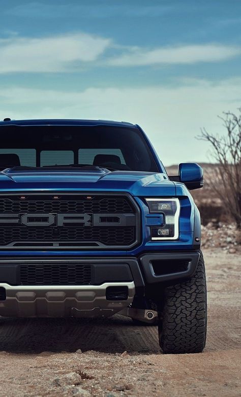 Race Truck, Jeep Pickup Truck, Truck Ford, Alpha Romeo, Pickup Truck Accessories, F150 Raptor, Ford F150 Raptor, Ford Ranger Raptor, Ford Mustang Car