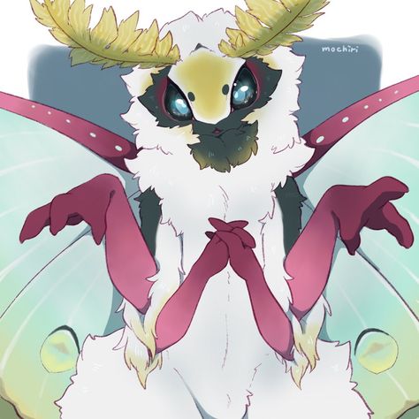 Insect Character, Moth Anthro, Anthro Moth, Moth Fursona, Bug Oc, Moth Oc, Cute Moth, Moth Art, Bug Art