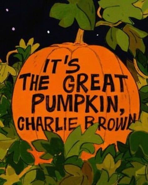 Various photos of deep buried core memories Charlie Brown The Great Pumpkin, Early 2000s Halloween, 2000s Halloween, Halloween Nostalgia, Nostalgic Halloween, It's The Great Pumpkin Charlie Brown, The Great Pumpkin Charlie Brown, Great Pumpkin Charlie Brown, It's The Great Pumpkin