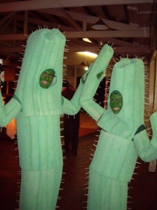 . Costumes were home-made, from foam, spray paint and match sticks. Halloween Cactus, Cactus Costume, Fortune Teller Costume, Easy College Halloween Costumes, Foam Spray, Flower Costume, Cactus Diy, Diy Kostüm, Trendy Halloween Costumes