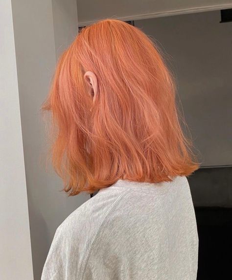 Pastel Ginger Hair, Soft Orange Hair Color, Silver Orange Hair, Pastel Red Hair Color, Soft Orange Hair, Pink Orange Hair Color, Warm Blue Hair, Hair Color Ends, Ash Orange Hair