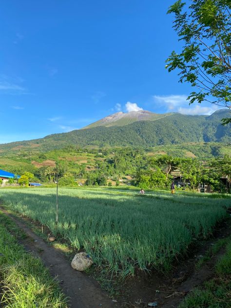 Mt. Kanlaon is located at Negros Oriental, City of Canlaon.It is one of the active volcano in the Philippine Volcano, Quick Saves