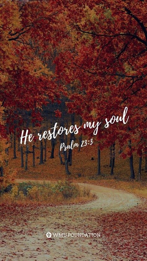 He restores my soul. He leads me in paths of righteousness for his name’s sake. (Psalm 23:3 ESV) PRAYER 🤲🏼 FatherGod thankYou! Today and always, refresh us, renew our strength and lead us on Your righteous path. Help us to follow Your examples — lead others to do the same, and live in ways that please You, bringing honor to You- in Jesus' name Amen! Fall Bible Verses, Grace Upon Grace, Weary Soul, Christian Fall, Bible Verse Background, Bible Quotes Images, Autumn Quotes, Quotes God, Meditation Space