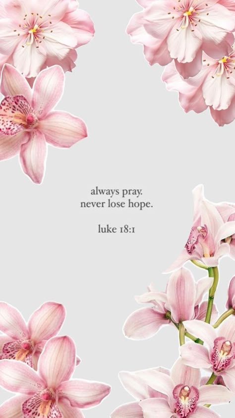 Always Pray Never Lose Hope, Bible Quotes Background, Christian Iphone Wallpaper, Always Pray, Cute Bibles, Motivational Bible Verses, Christian Quotes Wallpaper, Wallpaper Bible, Christian Backgrounds