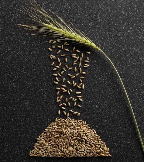 12 Amazing Benefits Of Rye For Skin, Hair, And Health Rye Bread Benefits, Castor Oil For Eyes, Castor Oil Benefits, Hair Nutrition, Ayurvedic Remedies, Green Tea Benefits, Uneven Skin Texture, Turmeric Benefits, Hair Removal Cream