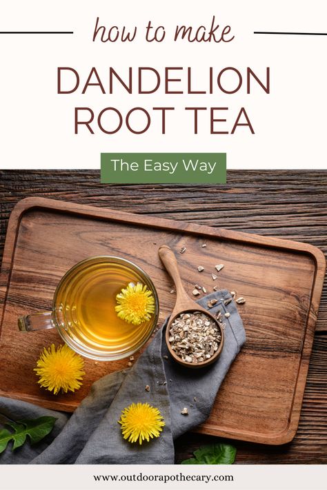 Benefits Of Dandelion Root, Outdoor Apothecary, Chai Tea Benefits, Burdock Tea, Burdock Root Tea, Dandelion And Burdock, Dandelion Benefits, Dandelion Root Tea, Dandelion Tea