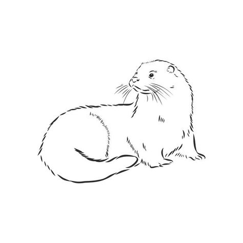 Line Drawing Otter, Otter Tattoo, Otter Drawing, Otter Illustration, Otter Art, Flash Tattoo Designs, River Otter, Vector Sketch, Sketch Illustration