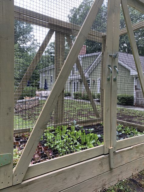 Love the idea of a backyard garden but concerned about critters? 🦌🐿 Yard2Kitchen Organic Gardens has a solution! Our signature Squirrel/Deer Proof Fencing System has unique construction that affords ease of access to your plants while effectively keeping animals out of your precious garden. Backyard Garden Deer Proof, Deer Proof Garden Fence, Vegetable Garden Design Deer Proof, Protecting Vegetable Garden From Animals, Garden Fencing To Keep Deer Out, Deer Proof Garden, Garden Fencing To Keep Animals Out, Protecting Garden From Deer, Squirrel Proof Garden