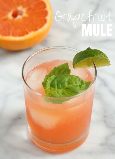 Grapefruit Mule Recipe Sleek Spring Cocktail Mules, Spring Mule Cocktail, Grapefruit Mule, Spring Cocktail Mules With 4-inch Heel, Ginger Mule Cocktail, Mule Recipe, Vodka Shots, Refreshing Summer Cocktails, Grapefruit Juice