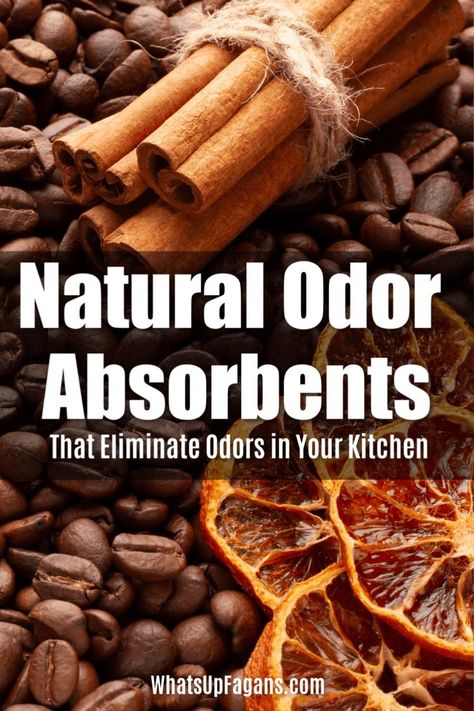 Collection of natural odor absorbents and absorbers to help you get rid of cooking smells in your house including burn smell and fish smell and burnt toast smells and odors. #odors #smells #kitchen #cooking #cookingsmells #cinnamon #coffeebeans Clean Baking Pans, Burnt Toast, Clean Your House, Burnt Food, House Smell Good, Cleaner Recipes, Kitchen Smells, Deep Cleaning Tips, Kitchen Cleaning Hacks