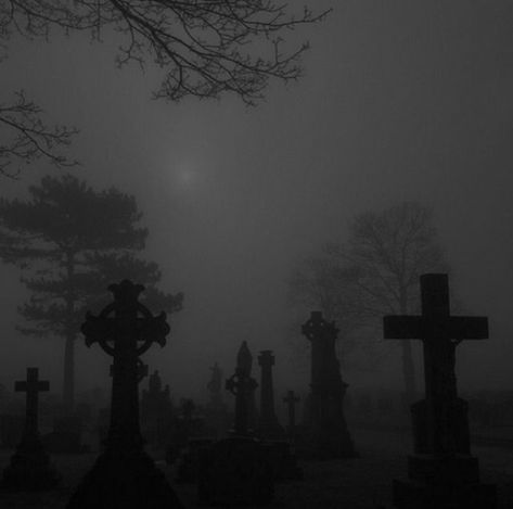 Cemetery Black And White, Dark Cemetary Aesthetic, Cemetary Aesthetic Night, Morticyles Aesthetic, Snowy Graveyard, Goth Cathedral, Dark Grey Aesthetic, Goth Images, Darkest Academia