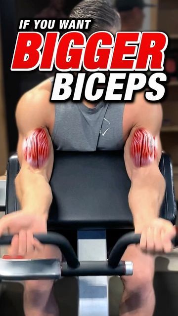 Big Biceps Workout, Dumbbell Bicep Curl, Dumbbell Curls, Preacher Curls, Big Biceps, Body Weight Leg Workout, Trening Fitness, Abs And Cardio Workout, Two Heads