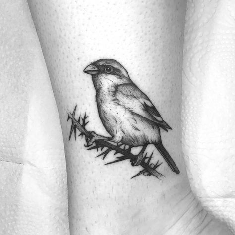 Shrine Tattoo, Shrike Tattoo, Hozier Tattoo, I Name, Hozier, Little Tattoos, Birds Tattoo, Future Tattoos, Tattoos And Piercings