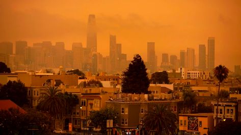 The U.S. Is on the Path to DestructionClimate change is killing Americans and destroying the country’s physical infrastructure. Green Jobs, Orange Glow, California Wildfires, Paris Agreement, Street Lights, Elon Musk, Northern California, Seattle Skyline, Fresh Air