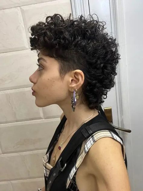 Mullet Haircut Woman Curly, Short Curly Hairstyles Shaved Sides, Curly Shaved Mullet, Curly Mullet With Undercut, Curly Mullhawk, Short Mullet Hairstyle Women Curly, Shaved Curly Hair Women, Short Curly Haircuts Shaved Sides, Shaved Side Hairstyles Curly Hair