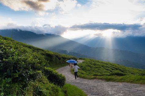 Collection of photos from past few days. Shot on fujifilm xt30. . . . . . #fujifilm #xt30 #natgeo #photography #Darjeeling #365days #landscapes Natgeo Photography, Darjeeling, Photography