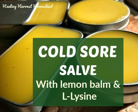 Cold Sore Remedy Fast, Healthy Flour, Salve Recipes, Healthy Probiotics, Healing Salves, Cold Sores Remedies, Natural Drinks, Cold Sore, Holistic Remedies