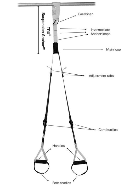 I find TRX to be one of the best gym equipments. It has almost every thing if you know what you are doing. Suspension Workout, Trx Suspension Trainer, Chest Workout Women, Best Gym Equipment, Diy Gym Equipment, Trx Suspension, Trx Training, Suspension Trainer, Diy Gym