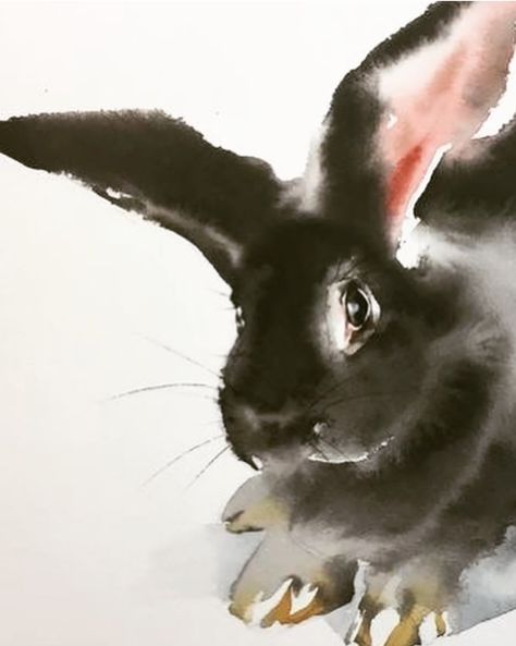 Karl Martens, Loose Watercolor Paintings, Watercolor Paintings Of Animals, Bunny Watercolor, Cat Watercolor, Bunny Care, Animal Illustration Art, Contemporary Watercolor, Tinta China