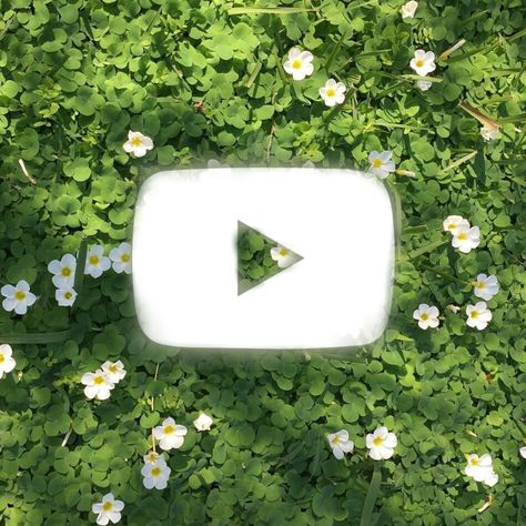 Green Aesthetic Snapchat Icon, Green Icon Youtube, Youtube Icons Aesthetic, Youtube Aesthetic Icon, App Icon Nature, Aesthetic Youtube Icon, Youtube Icon Aesthetic, Green App Icons Aesthetic, Green Homescreen