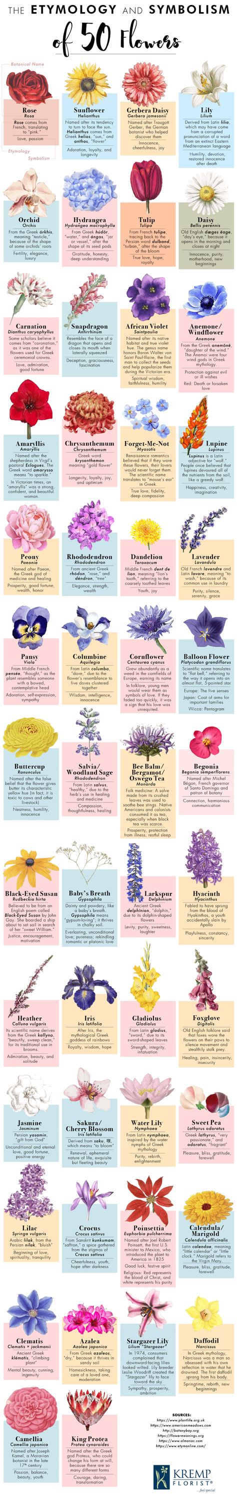 Pretty Flower Names, Projek Mengait, Hadiah Diy, Different Kinds Of Flowers, نباتات منزلية, Flower Meanings, Kraf Diy, Flower Names, Language Of Flowers