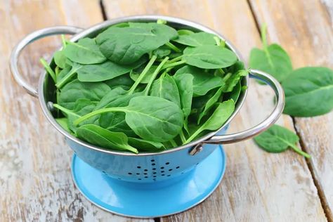 Nutrition Face-Off: Raw vs. Cooked Spinach - Vegetarian Times Cranberry Spinach Salad, Spinach Alfredo, Spinach Benefits, Garlic Spinach, Raw Spinach, Iron Rich Foods, Green Drinks, Sauteed Spinach, Green Vegetables