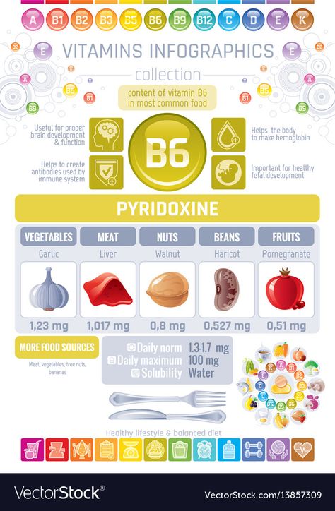 Diet Infographic, Rich Food, Nutrition Sportive, Sport Nutrition, Flat Icons Set, Video Blog, Pantothenic Acid, Vitamin B6, Vitamin B12