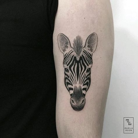 Tattoo uploaded by Claire • By #marlamoon #zebra #minimalist #animal #nature #blackwork • Tattoodo Zebra Tattoo For Women, Zebra Tattoo Design, Eds Tattoo, Zebra Tattoo Ideas, Net Tattoo, Zebra Tattoo, Zebra Tattoos, Small Cross Tattoo, Skull Hand Tattoo