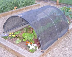 Too Many Tomatoes : Lettuce Pray Brussel Sprout Plant, Garden Shade Cloth, Metal Raised Beds, Garden Shade, Raised Planter Beds, Growing Tomatoes In Containers, Pergola Swing, Butterfly Net, Metal Pergola