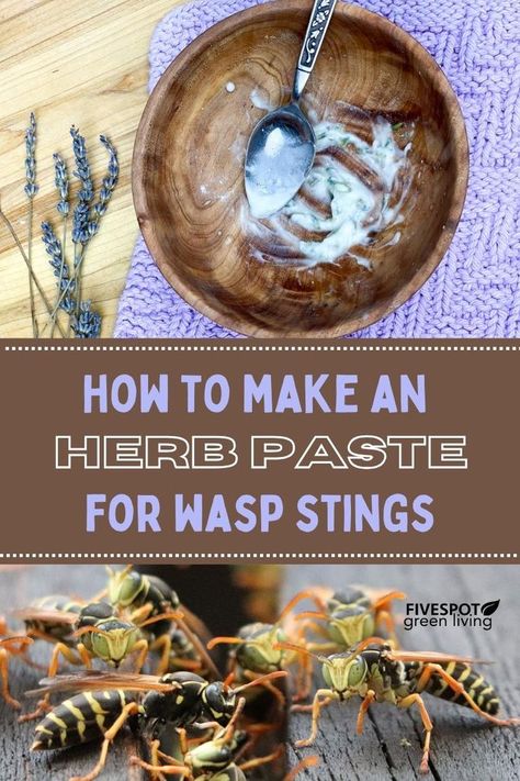 Herbs for Wasp Sting